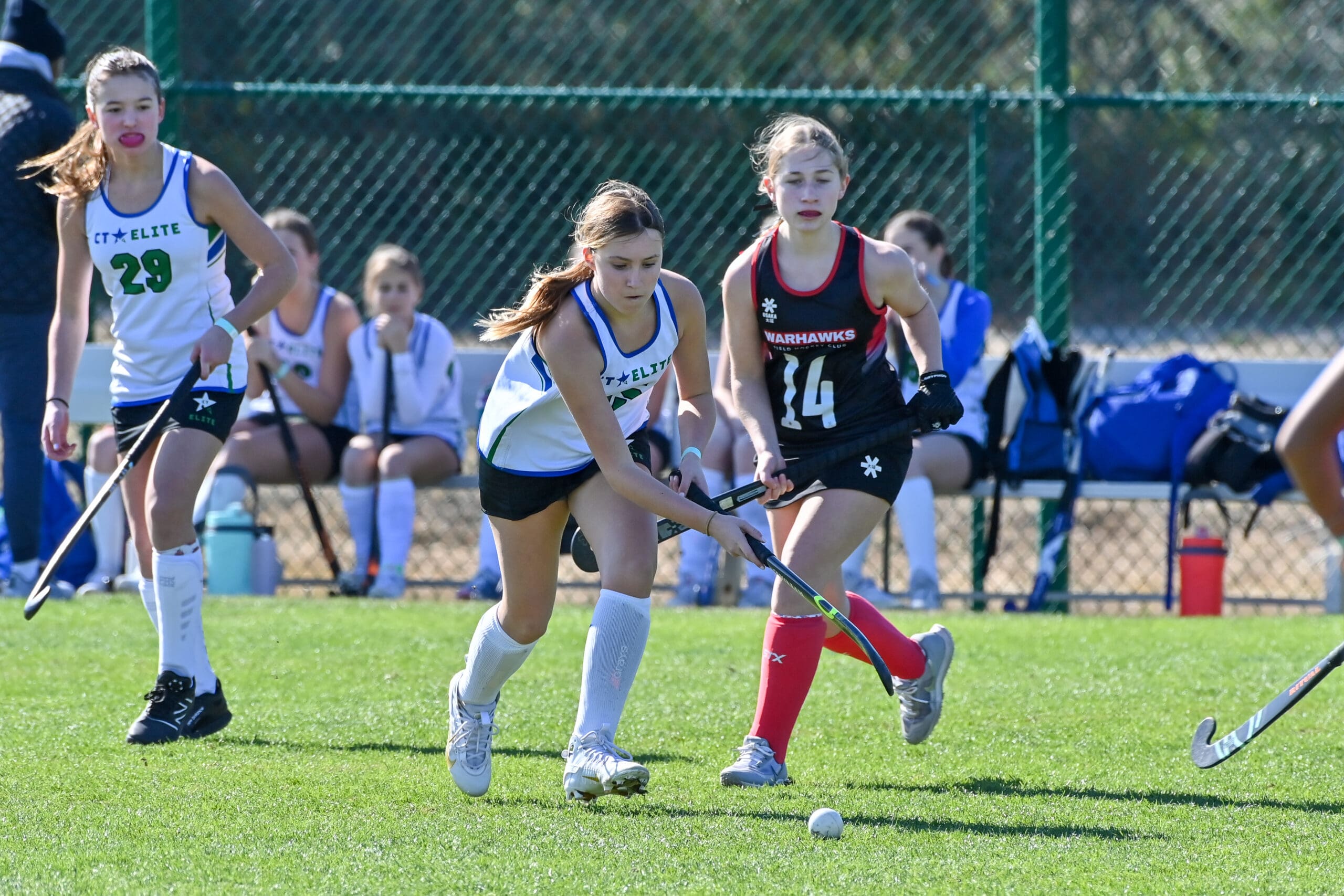 U14 Green Jan 24 200 PM (40)